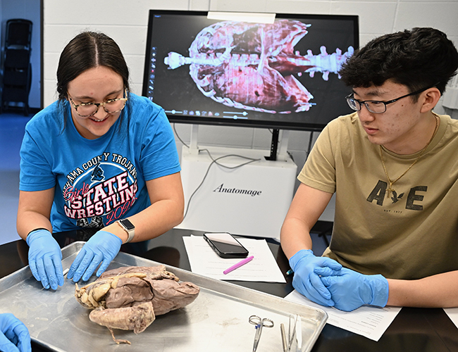 Biology femal and male student disecting