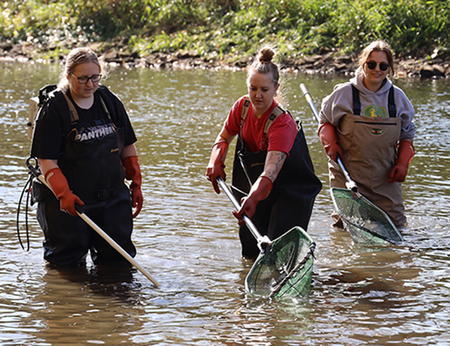 Conservation Technology students fish shocking in river