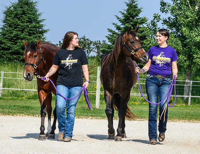 Equine students walking horses