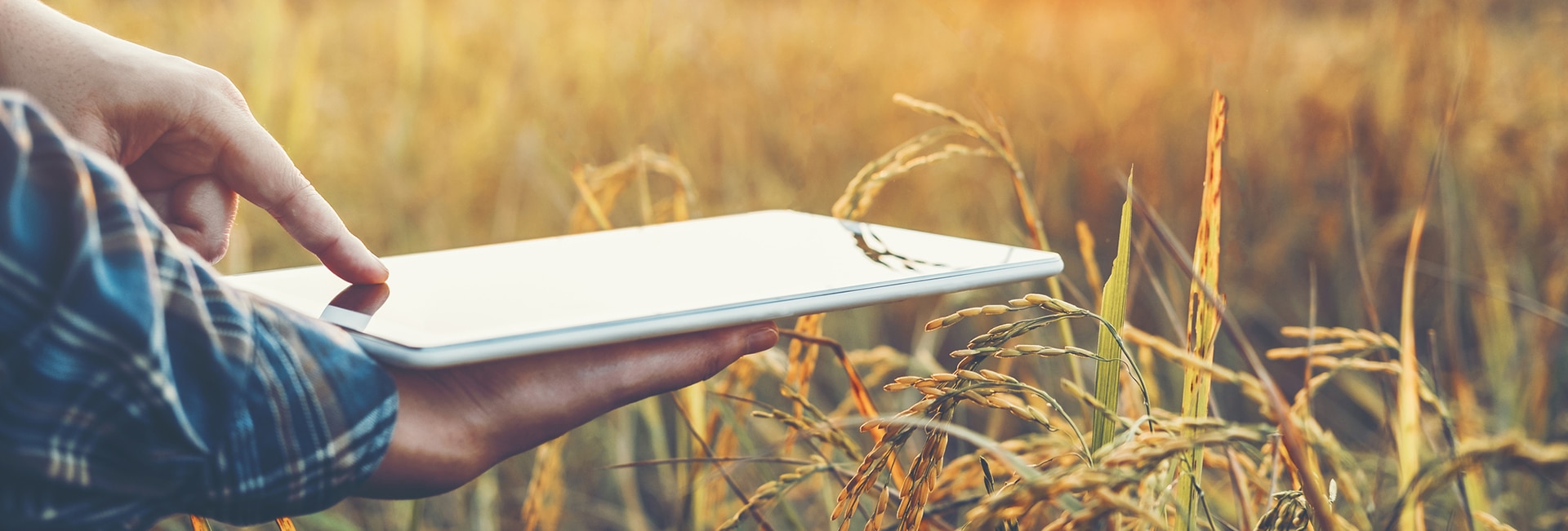 The Intersection of Agriculture and Technology - Agribusiness in the 21st Century